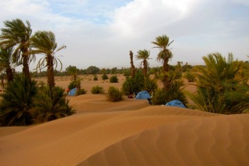 Sahara desert camp