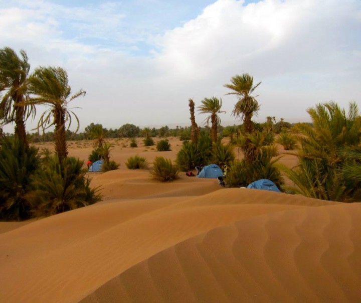 Sahara desert camp