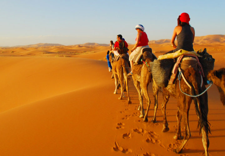 desert camel trekking