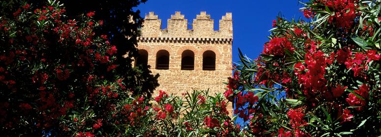 The bleu city of Chefchaouen with it's beautifall surounding natural landscapes