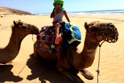 atlantic coast camel trekking